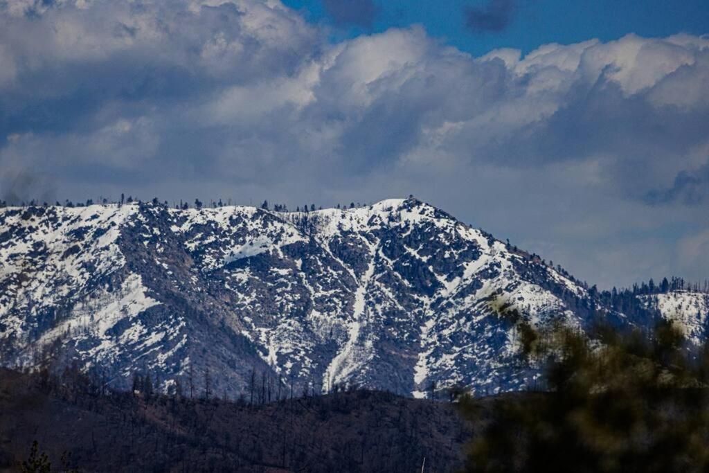 Cozy Cub Cabin, Brand New Home Near Yosemite Μαριπόζα Εξωτερικό φωτογραφία