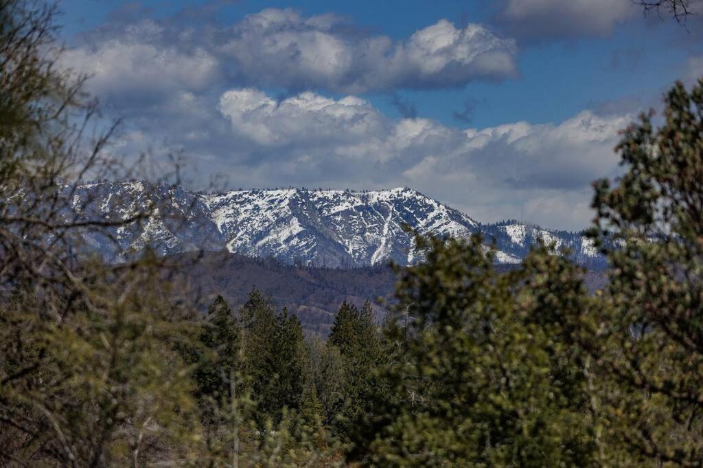 Cozy Cub Cabin, Brand New Home Near Yosemite Μαριπόζα Εξωτερικό φωτογραφία